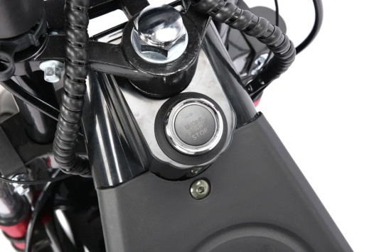 Электроскутер WHITE SIBERIA PRO TRIKE+ 3000W, черный