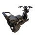 Электротрицикл трехколесный CityCoco TRIKE GT-EV3