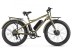 Электрофэтбайк VOLTECO BIGCAT DUAL NEW, хаки