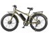 Электрофэтбайк VOLTECO BIGCAT DUAL NEW, хаки