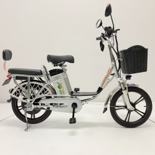 Электровелосипед GreenCamel Транк 18 V8 (R18 500W 60v20Ah)