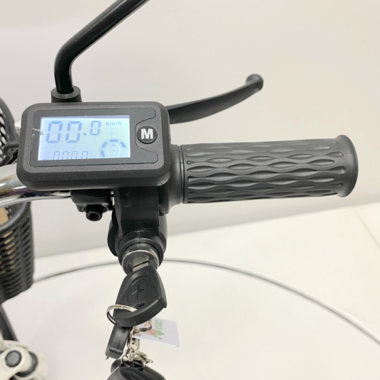 Электровелосипед GreenCamel Транк 18 V8 PRO (R18 500W 60v10Ah) 2х подвес