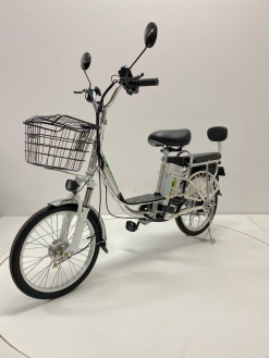 Электровелосипед GreenCamel Транк 20 V8 литой (R20 500W 60V10Ah)