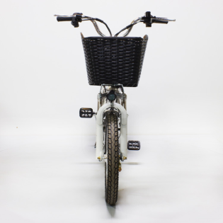 Электровелосипед GreenCamel Транк-18-60 (R18 350W 60V)