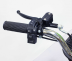 Электровелосипед GreenCamel Транк-18-60 (R18 350W 60V)