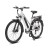 Электровелосипед WHITE SIBERIA CAMRY LIGHT 500W (матовый серебристый)