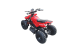 Электроквадроцикл El-Sport Kids ATV 800W 36V/12Ah, красный