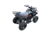 Электроквадроцикл El-Sport Children ATV 1000W 36V/12Ah, черный паук