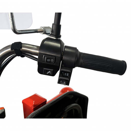 Грузовой электротрицикл SIBTRIKE PRO CARGO 3000W