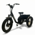 Электровелосипед трехколесный GT ZV-02 48V/20Ah