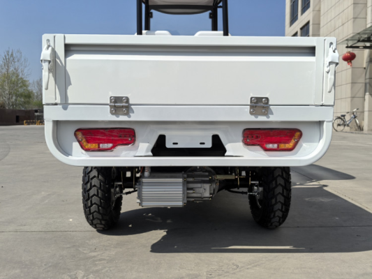 Гольфкар GreenCamel Сонора A2C New (2+Cargo 2500W 130/90-10' литые) пониженная