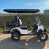 Гольфкар GreenCamel Linhai A22L (2+2, 4kW AC, R14 литые) LUX lifted