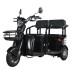 Электротрицикл WHITE SIBERIA SIBTRIKE R 2000W