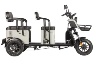 Электротрицикл Wanshida LC300 60V 1000Вт