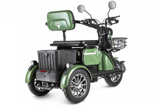 Электротрицикл Rutrike Пилот, зеленый