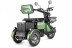 Электротрицикл Rutrike Пилот, зеленый
