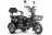 Электротрицикл Rutrike Бумеранг, черный
