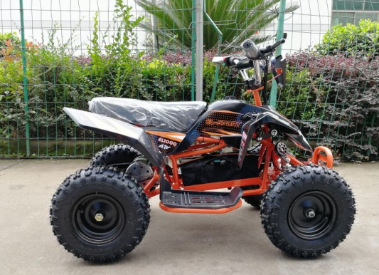 Электроквадроцикл Teenager Mini 7EB ATV 1000W
