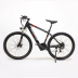 Электровелосипед GreenCamel MinMax (R27,5 250W 36V 10Ah) 21скор