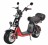 Электроскутер WHITE SIBERIA PRO CITYCOCO 2500W, черный