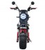 Электроскутер WHITE SIBERIA PRO CITYCOCO 2500W, черный
